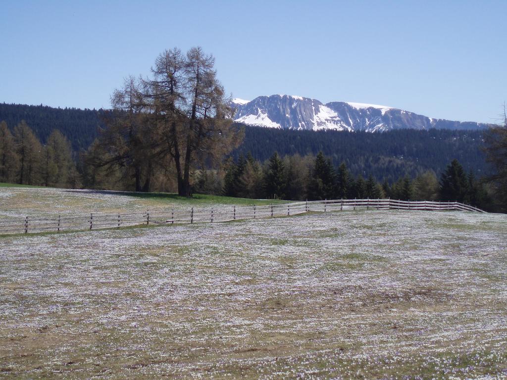 Rastlhof Villa Meltina Luaran gambar